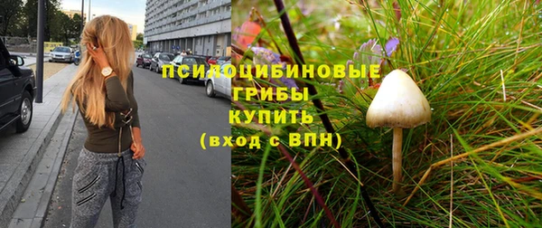 дурь Заводоуковск