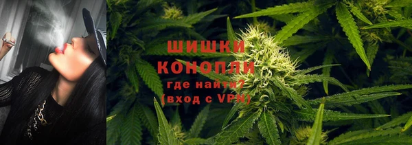 ПСИЛОЦИБИНОВЫЕ ГРИБЫ Елабуга