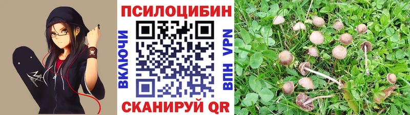 где купить наркотик  Бородино  blacksprut ONION  Псилоцибиновые грибы прущие грибы 